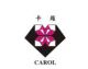 Jiangmen Carol lighting Co., LTD