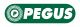 Pegus Systems