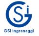 GSI Ingranaggi