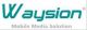 Waysion Technology