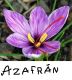 Azafran