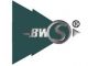 BWS(HK) GROUP CO., LTD