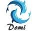 Guangzhou Domi Guitar Co., Ltd