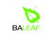 BALEAF(xiamen)New Energy Technology