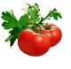 Jiaxing Picktomato Trading Co., Ltd