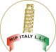 MIP Italy General Trading LLC