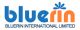 Bluerin International Limited