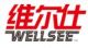 Wuhan WELLSEE Company