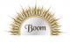 Shanghai Boom Industrial Co., ltd