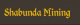 Shabunda Mining Co