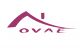 Shenzhen Novae Home Decor Co., Ltd.