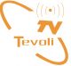 Changzhou Tevoli Electronic Co., Ltd.