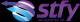 STFY Foreign Trade