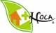 HOCA Medical Microsystem, Inc.