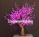 Longterm Lighting Com. Ltd