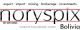 NORYSPIX BOLIVIA S.R.L.