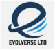EVOLVERSE LTD