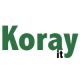 KORAY INFORMATION TECHNOLOGY LIMITED