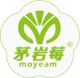 Zhangjiajie Moyeam Co., Ltd