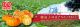 Chaoyang Dadi Agricultural Products Proc